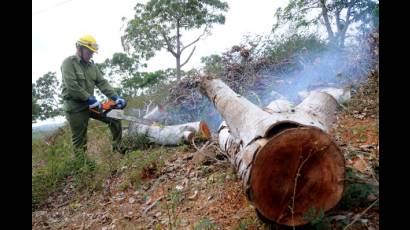 Prevención de incendios