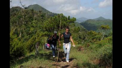 Camino a la cima