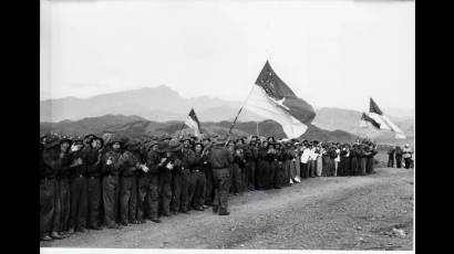 Combatientes vietnamitas