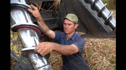 Técnico en Maquinaria Azucarera