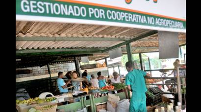 Cooperativa no agropecuaria