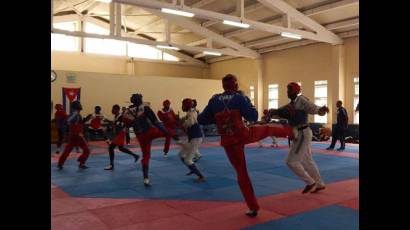 Entrenamiento del equipo masculino de taekwondo