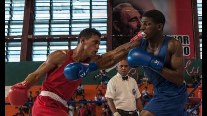 Serie Nacional de Boxeo