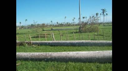 La cordillera de las palmeras