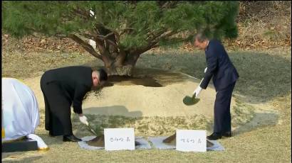 La siembra de un árbol simbolizó la paz intercoreana