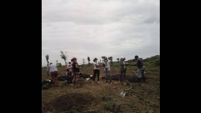 El aporte de la juventud palmera.