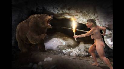 El oso como ancestro protector