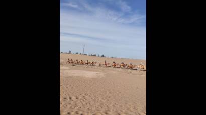 A paso lento, en perfecta sinergia, sobre el suelo árido del desierto de Gobi pasan uno tras otro los camellos