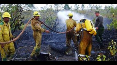 Incendio impacta 200 hectáreas de bosques en Pinar del Río
