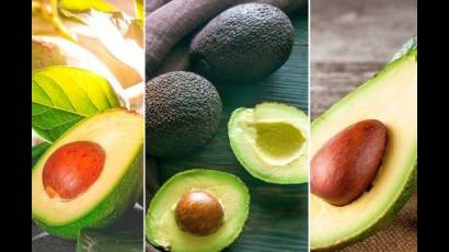 El aguacate es una fruta con infinidad de propiedades, no solo en su carne, también en su semilla