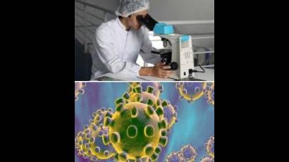 Expertos siguen estudiando el coronavirus