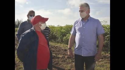 Díaz-Canel visitó la Empresa Agropecuaria Valle del Yabú