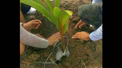 Día del Medio Ambiente