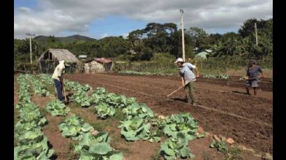 Usufructuarios de tierra