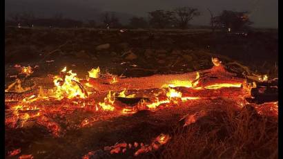 Incendios forestales de la localidad hawaiana