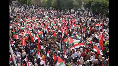 Varias manifestaciones tienen lugar en Siria para apoyar al pueblo palestino
