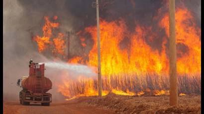 Incendios forestales en Brasil