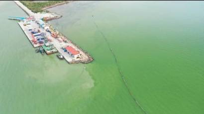 En el puerto de Batabanó se trabaja arduo en las labores de dragado