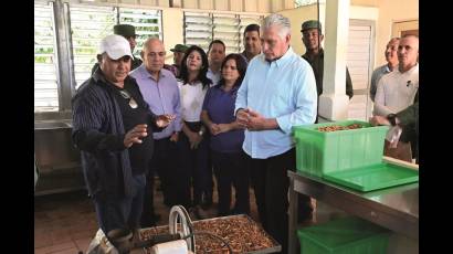 Díaz-Canel elogió los excelentes resultados que muestra hoy la finca Tierra Brava, perteneciente a la cooperativa de créditos y servicios (CCS) Niceto Pérez, en el municipio de Los Palacios, en Pinar del Río, en la que el productor Onay Martínez Díaz (a la izquierda) ha liderado un modelo de agricultura con ciencia e innovación