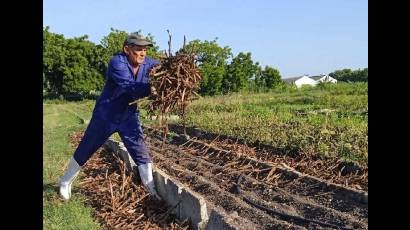 La agricultura urbana, suburbana y familiar tiene grandes desafíos productivos en el presente año