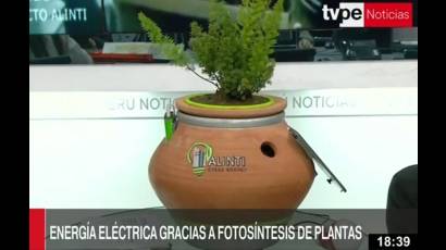 Inventor peruano logra energía eléctrica con fotosíntesis de las plantas