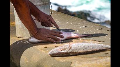 Pescadores