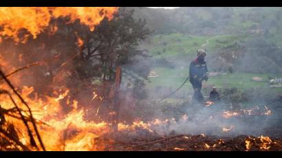 Guardabosques cubanos emprenden acciones para prevenir incendios forestales