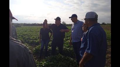 Visita Presidente de la ANAP a campesinos en Isla de la Juventud