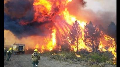 Incendios en la Patagonia argentina