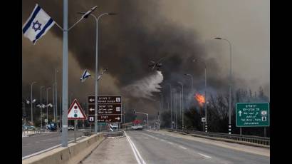 Israel en emergencia. Se prenden fuego enormes bosques que amenazan con incendiar ciudades