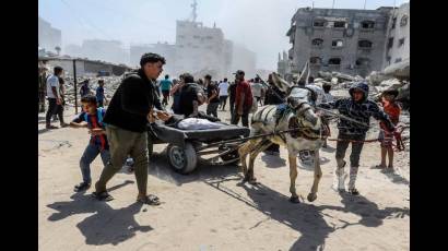 Gaza
