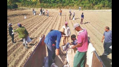 Impulsar la producción de alimentos es prioridad para los guantanameros