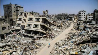 Soy un experto en genocidio. Lo sé cuando lo veo