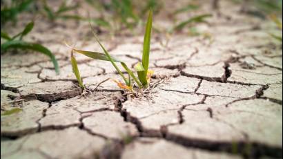 La Tierra pierde agua dulce a ritmo preocupante