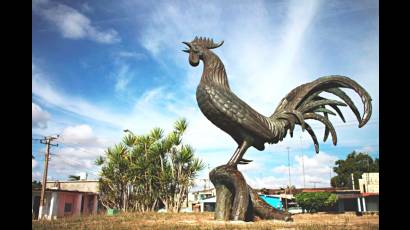 El Gallo de Morón es uno de los símbolos más mencionados de Cuba