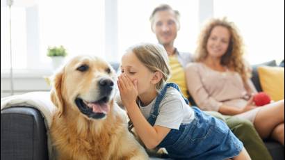 ¿La IA podría ayudarnos a 'hablar' con los animales?