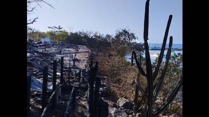 Delfinario de Cienfuegos: aportan nuevos datos sobre incendio