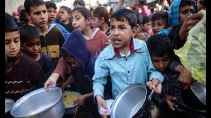 Hambruna en Gaza: niños muriendo por desnutrición