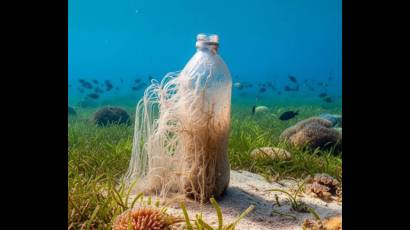 Presentan nuevo plástico duradero y biodegradable