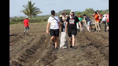 La Brigada Juvenil Internacional de Solidaridad con Cuba Viva Fidel realizó labores productivas en Holguín