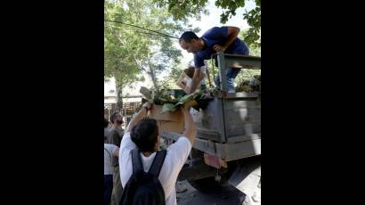 Gracias al esfuerzo desplegado en las últimas jornadas, de los 106 consejos populares de la ciudad, 52 pueden catalogarse de limpios