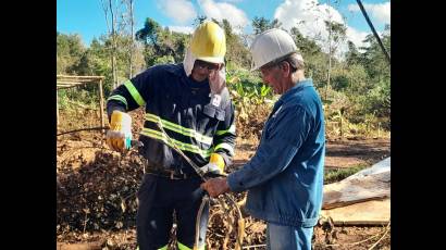 Actualmente en la región oriental están laborando 3 746 compañeros sobre las líneas eléctricas.