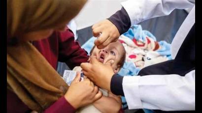 Campaña de vacunación en Gaza: otra apuesta por la vida en medio de la crisis sanitaria