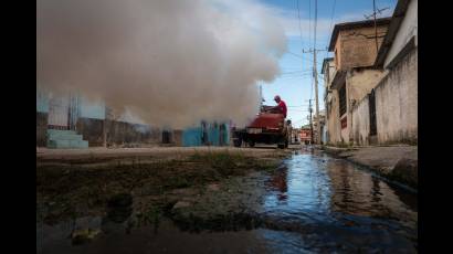 Fumigación
