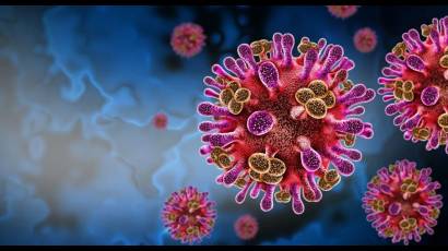 Virus Nipah