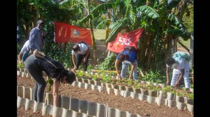 Desde las comunidades los jóvenes aportarán a la producción de alimentos.