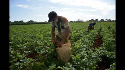El proyecto de Ley De Tierra Agropecuaria y Forestal recoge, entre otros elementos, la actualización del régimen de propiedad, posesión, sucesión por causa de muerte y uso de la tierra y bienes agropecuarios.
