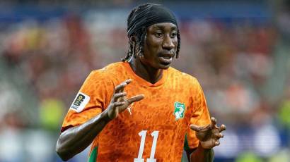 El elefante de los 100 millones