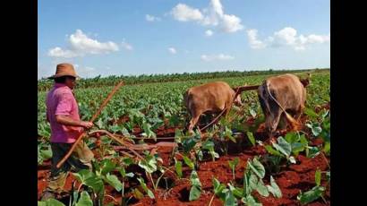 El Proyecto de Ley ofrecerá un marco normativo único y claro para fiscalizar desde la entrega de la tierra, hasta las obligaciones de todos los usufructuarios