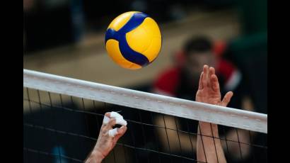 Voleibol